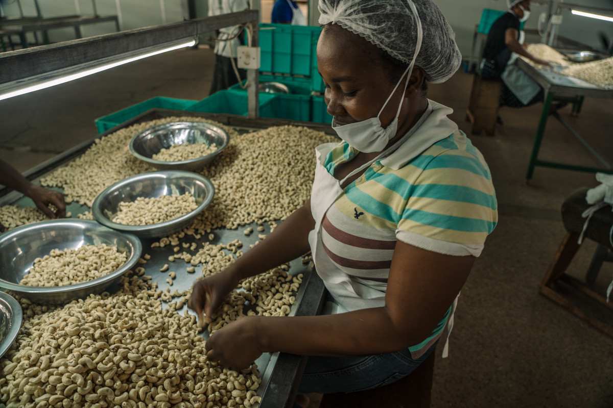 cashew nut factory worker, Ghana