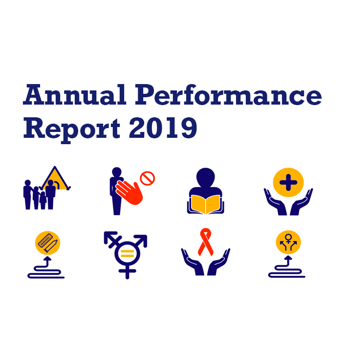 Annual Performance Report 2019