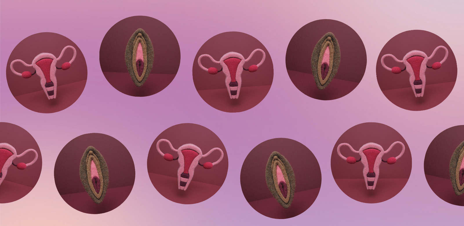 Uterus