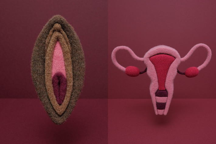 Knitted vulva and uterus