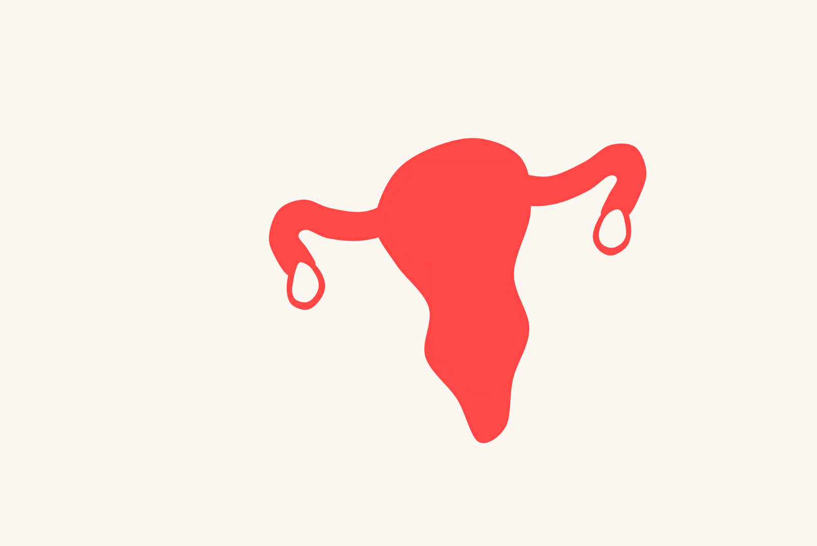 uterus