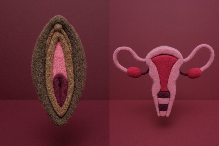 vagina and uterus 