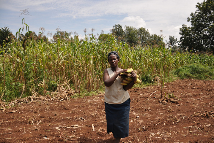 Woman in field