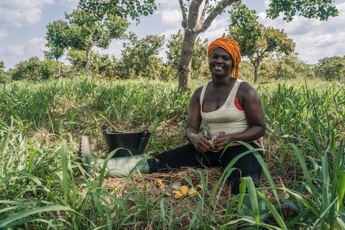 Dorcas Amakyewaa, a Mim Cashew Factory worker and peer educator separates cashew nuts from the cashew apple