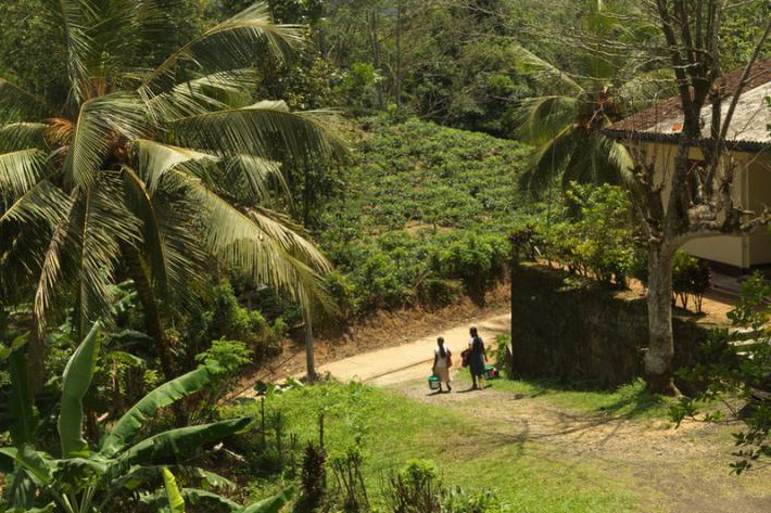 Ratnapura District of Sri Lanka