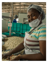 A woman working in a cashew nut factory