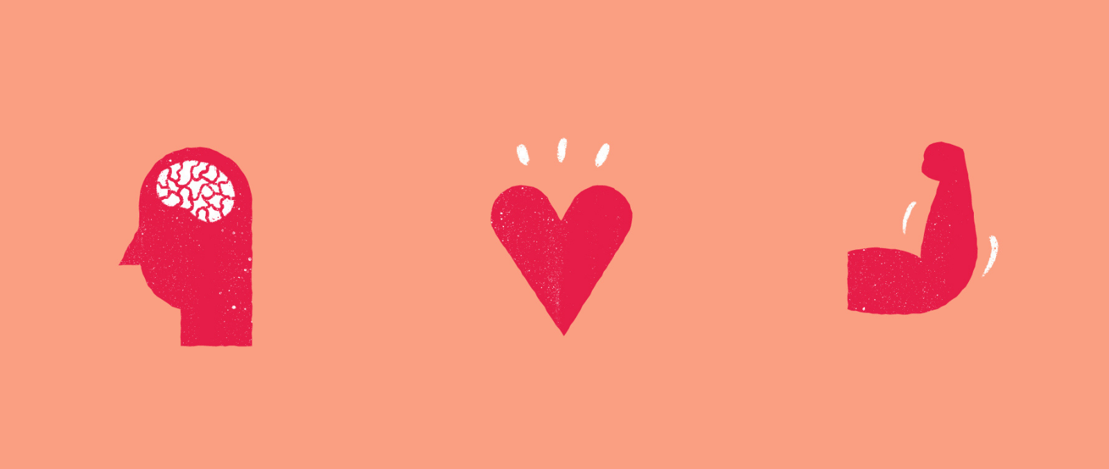 Illustration of brain, heart, arm