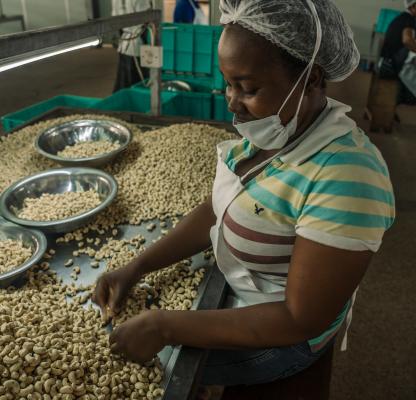 cashew nut factory worker, Ghana