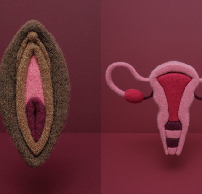 Knitted vulva and uterus