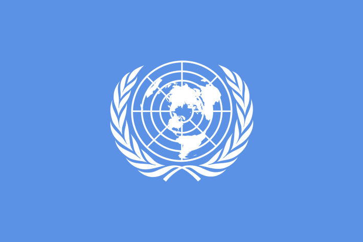 国連と人権 ippf
