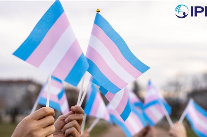 Transgender flag