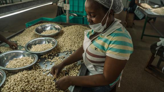 cashew nut factory worker, Ghana