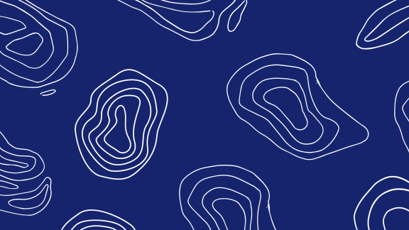 website-banner