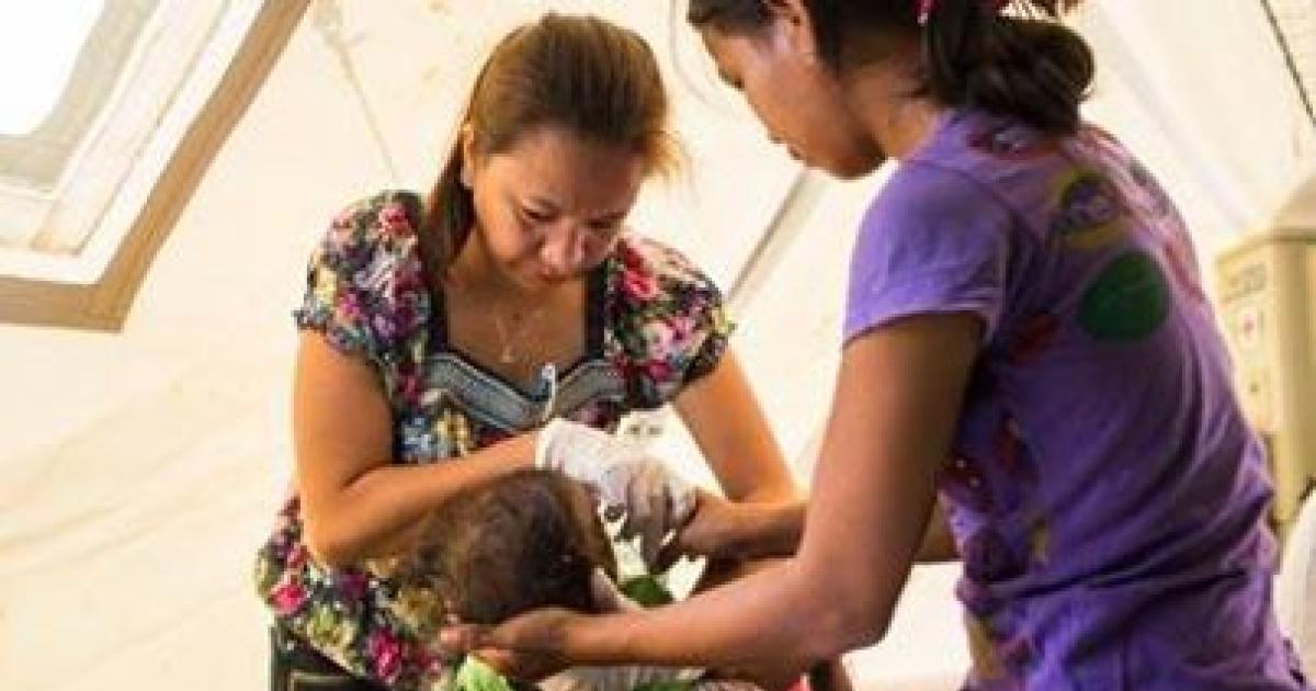 フィリピン台風ハイエン後の復興現場を訪れて Ippf